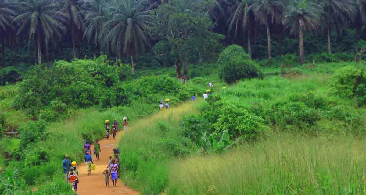 Сьерра-Леоне: особенности и запреты