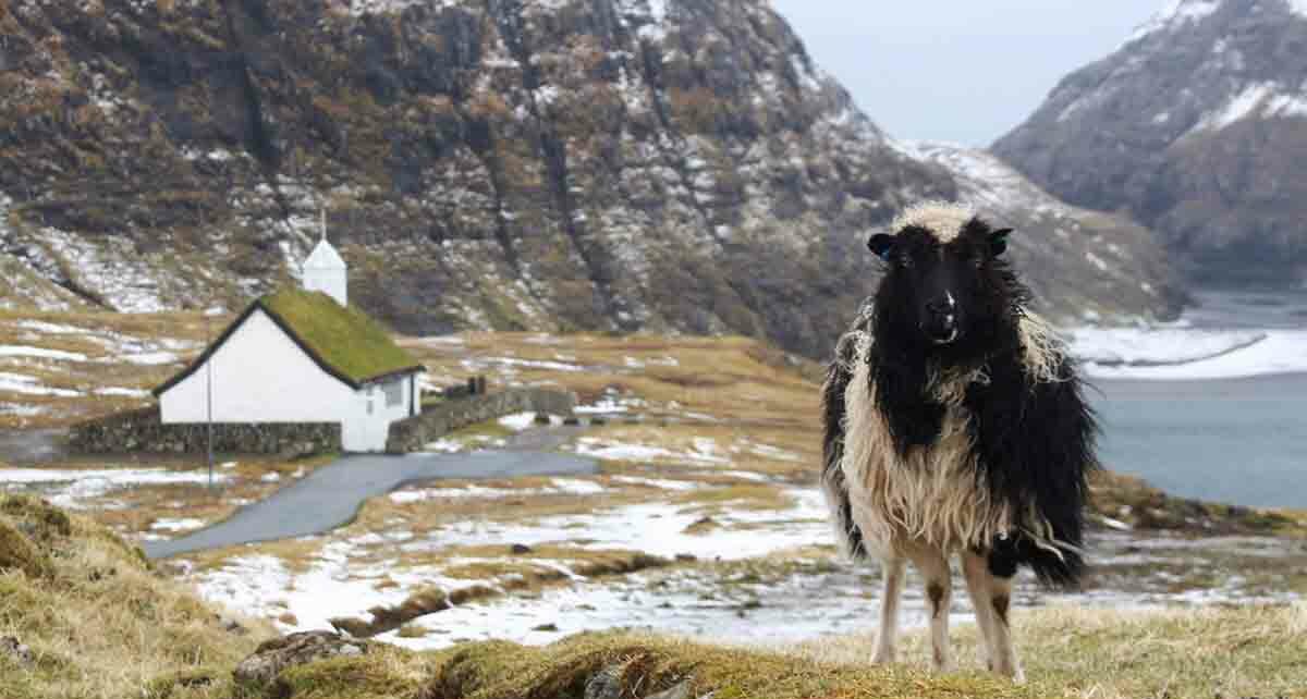 Особенности и запреты Фарерских островов