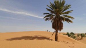 Достопримечательности Мавритании