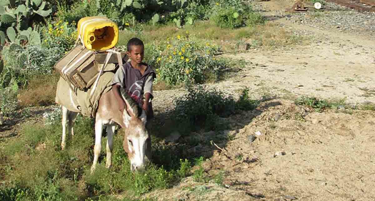 Ограничения и запреты в Эритрее