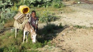 Ограничения и запреты в Эритрее