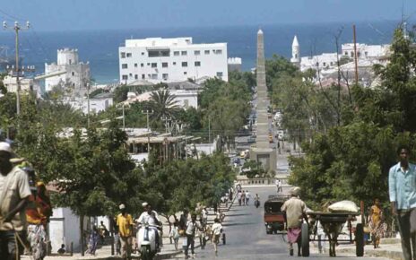 Культура Сомали